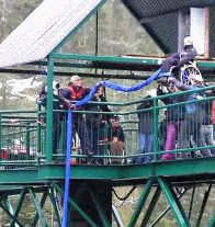 wheelchair-bungee-jump-gif.5237704