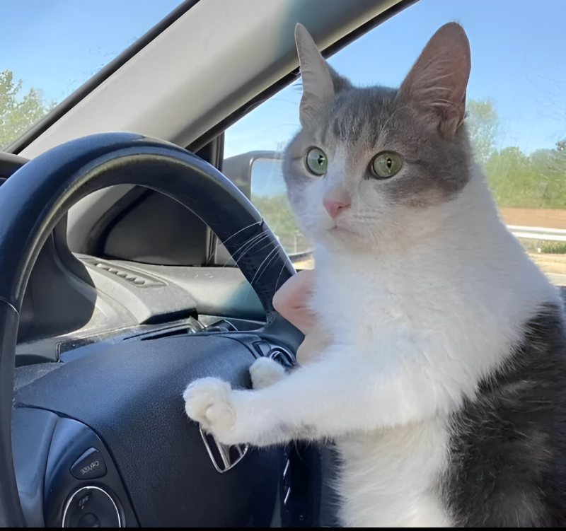 When your GPS navigation is not working.png
