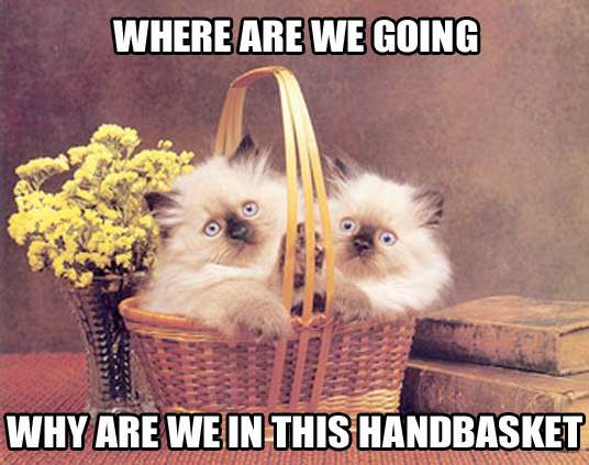 where_why_handbasket.jpg