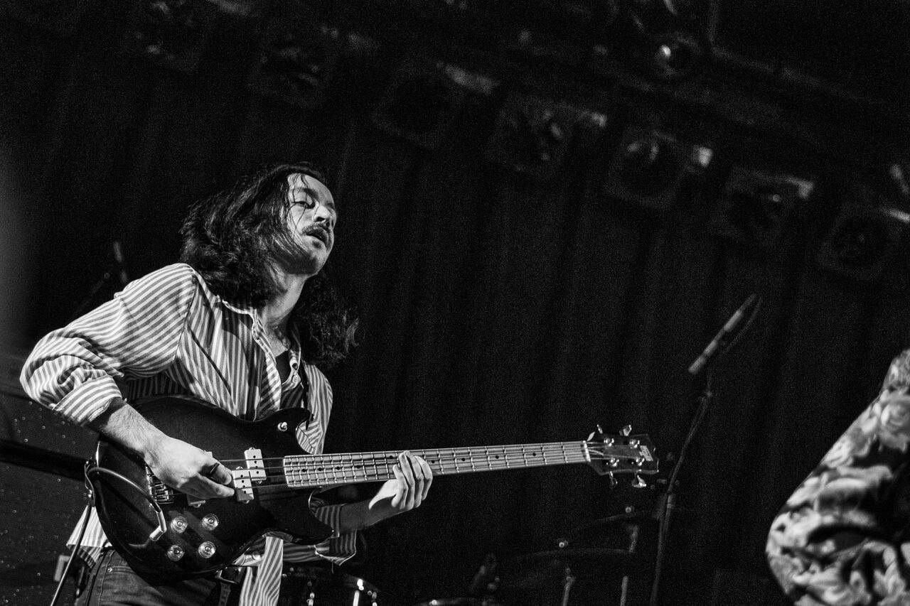 which bass.jpg