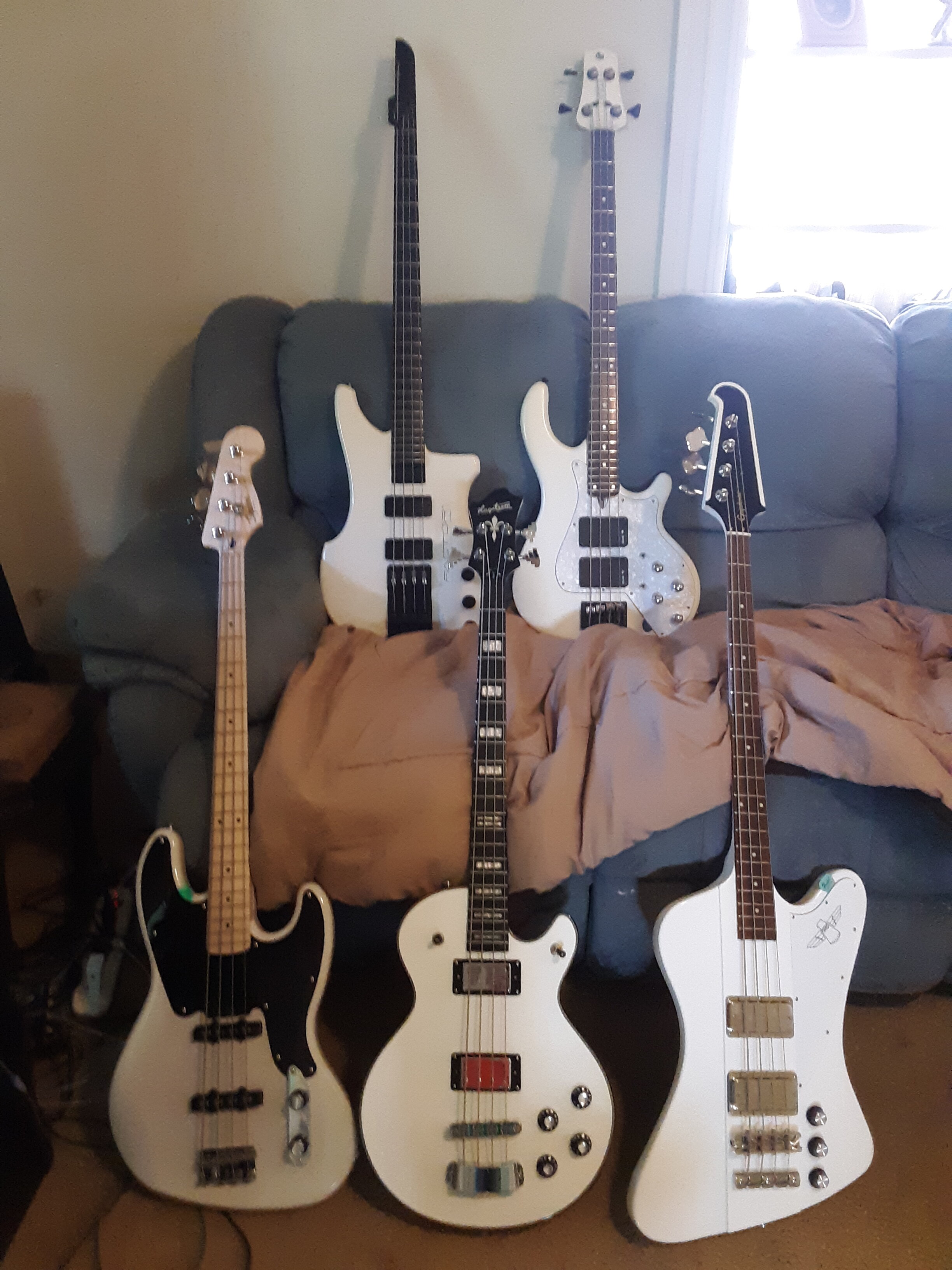 White basses.jpg