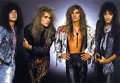 white_lion_pic.jpg
