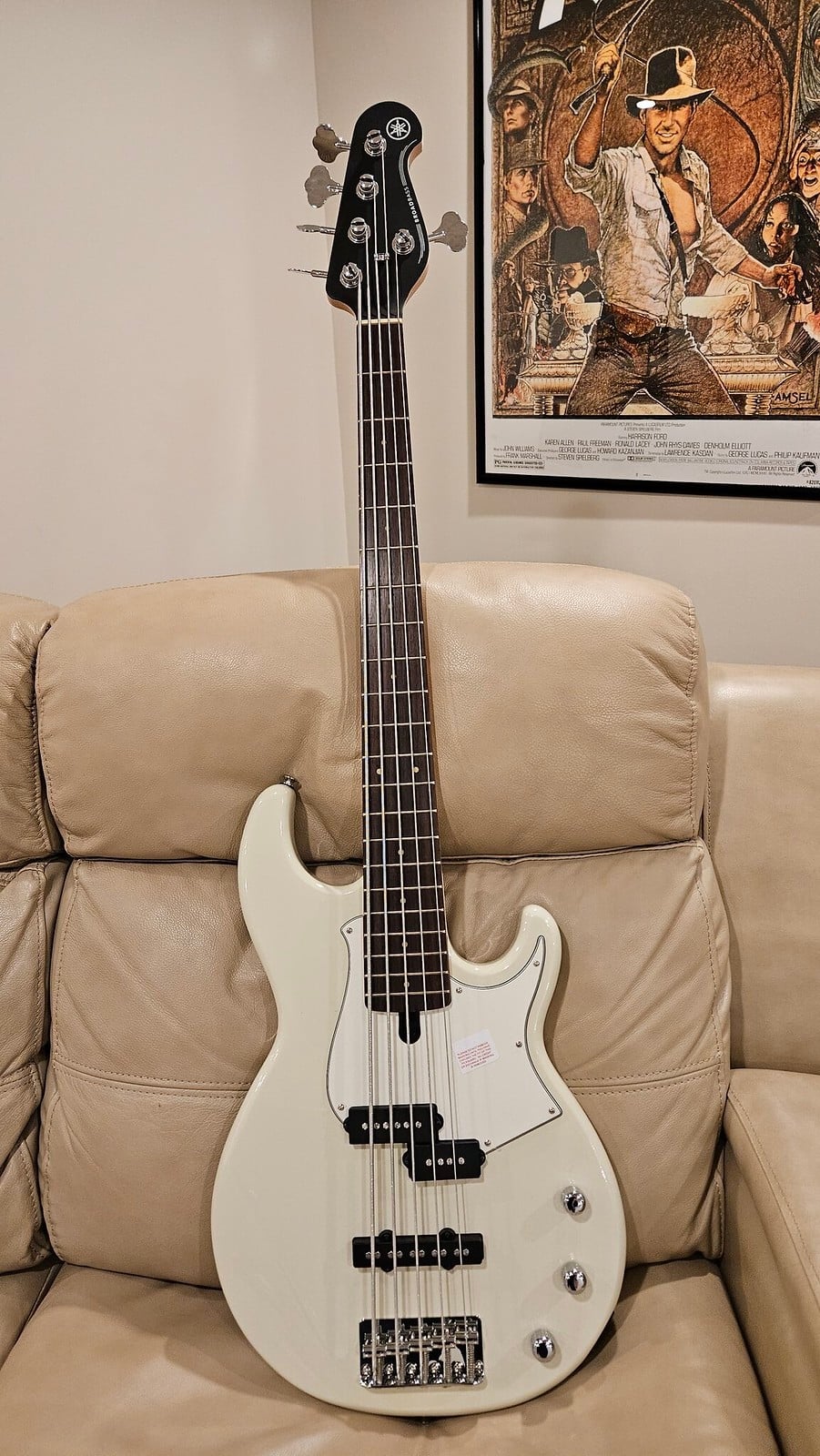 white_pickguard.jpg