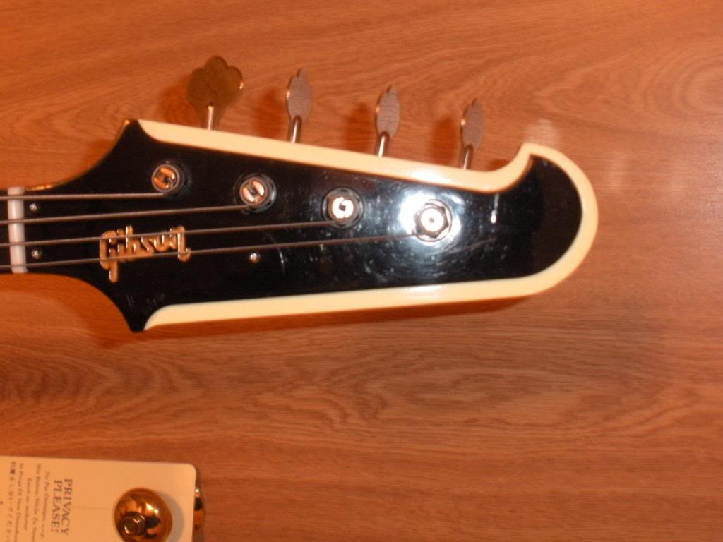 whitebird001.jpg