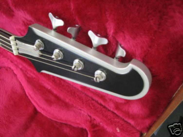 whitetbird3.jpg