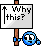 why.gif