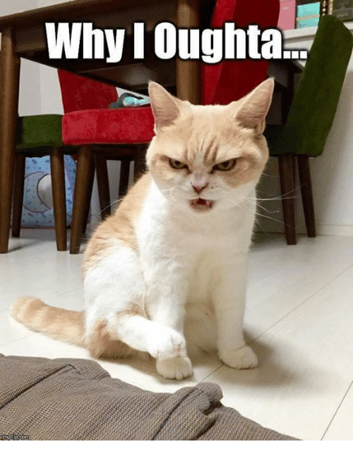 why-i-oughta-4984878.png