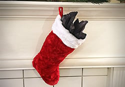 widget-coal-in-stocking.jpg