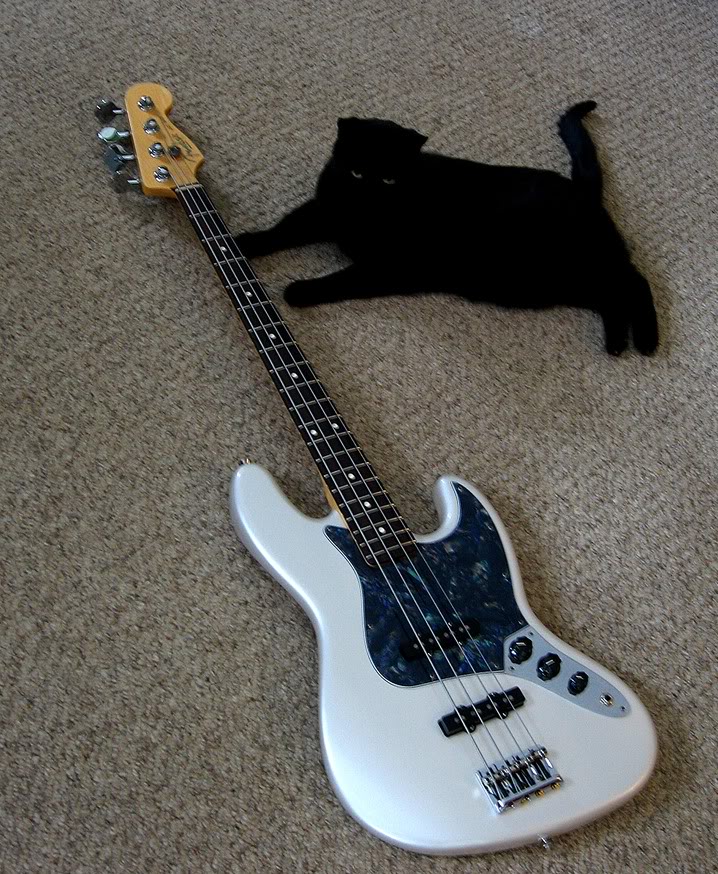 WilandMIAJazz.jpg