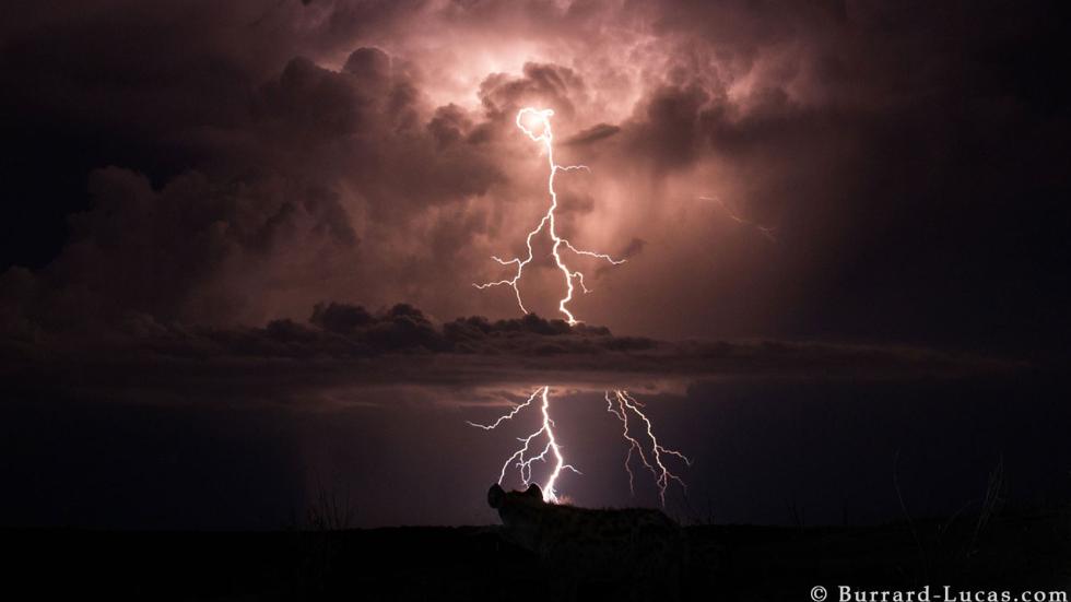 willbl-night-15.jpg