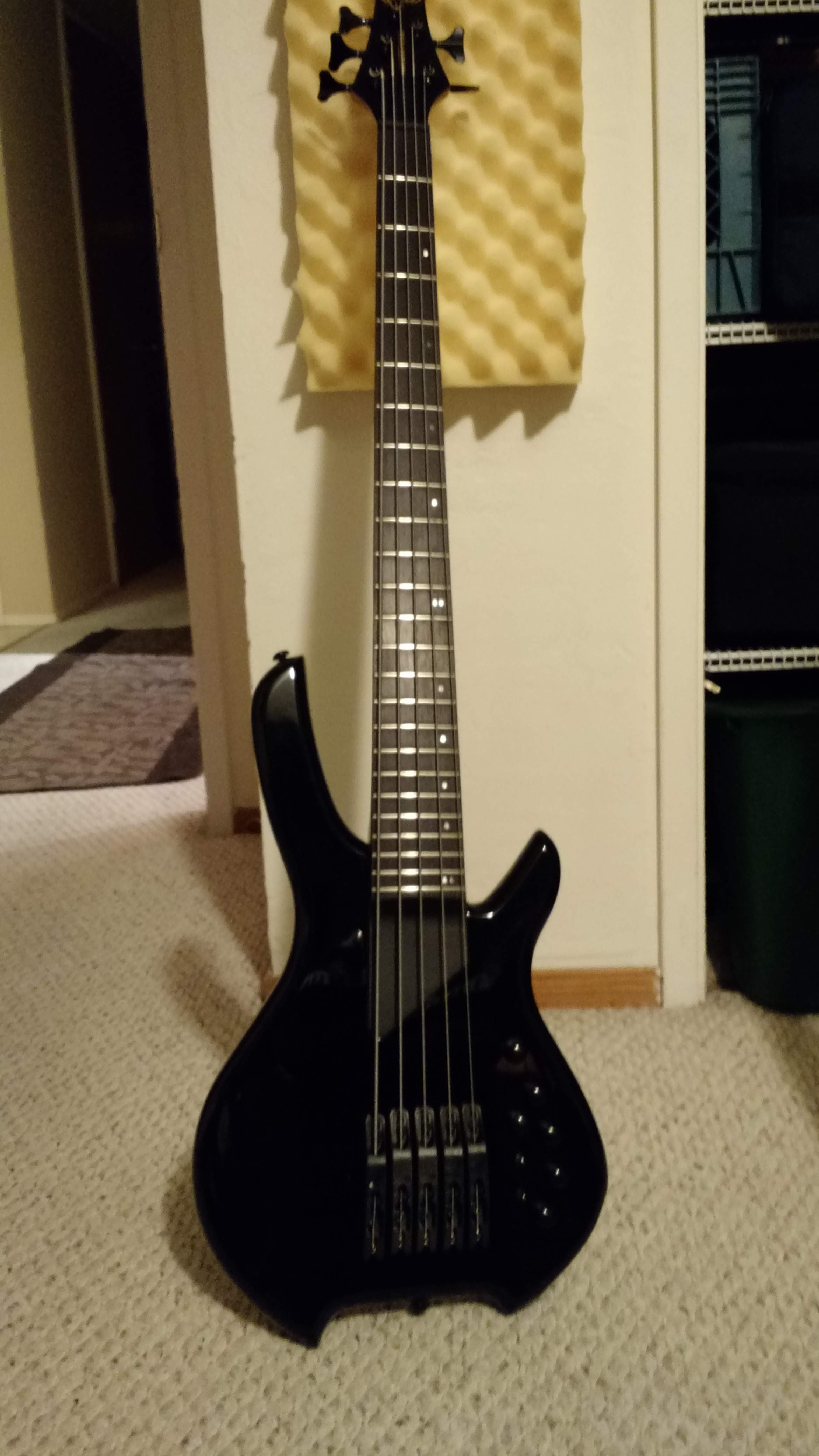 Willcox HEXFX 5 string bass.jpg
