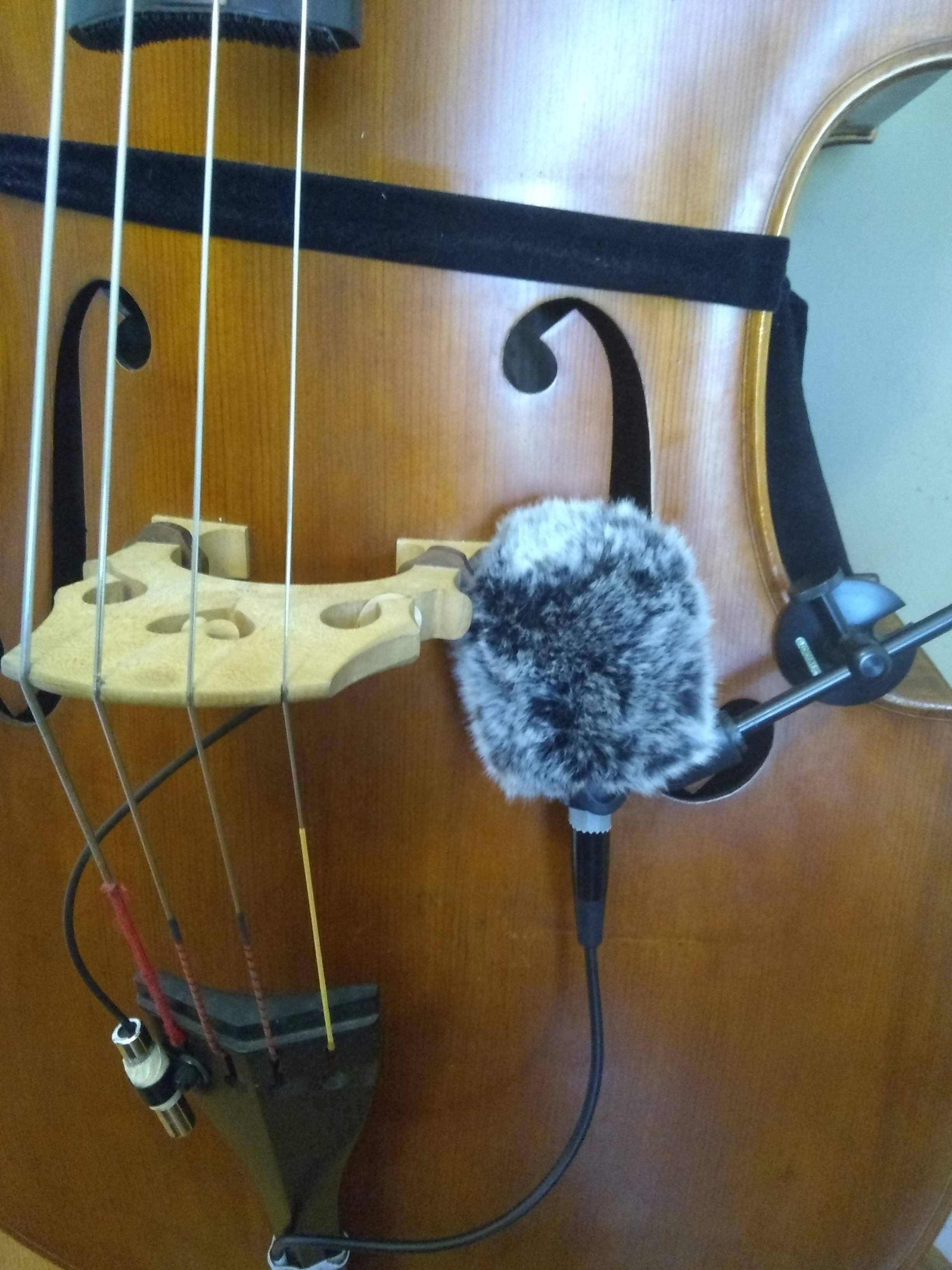 Wind Shield on Xlson Mic.jpg