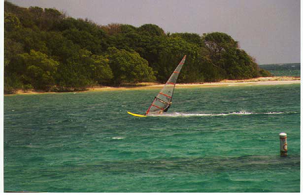 WindwardBeach3.jpg