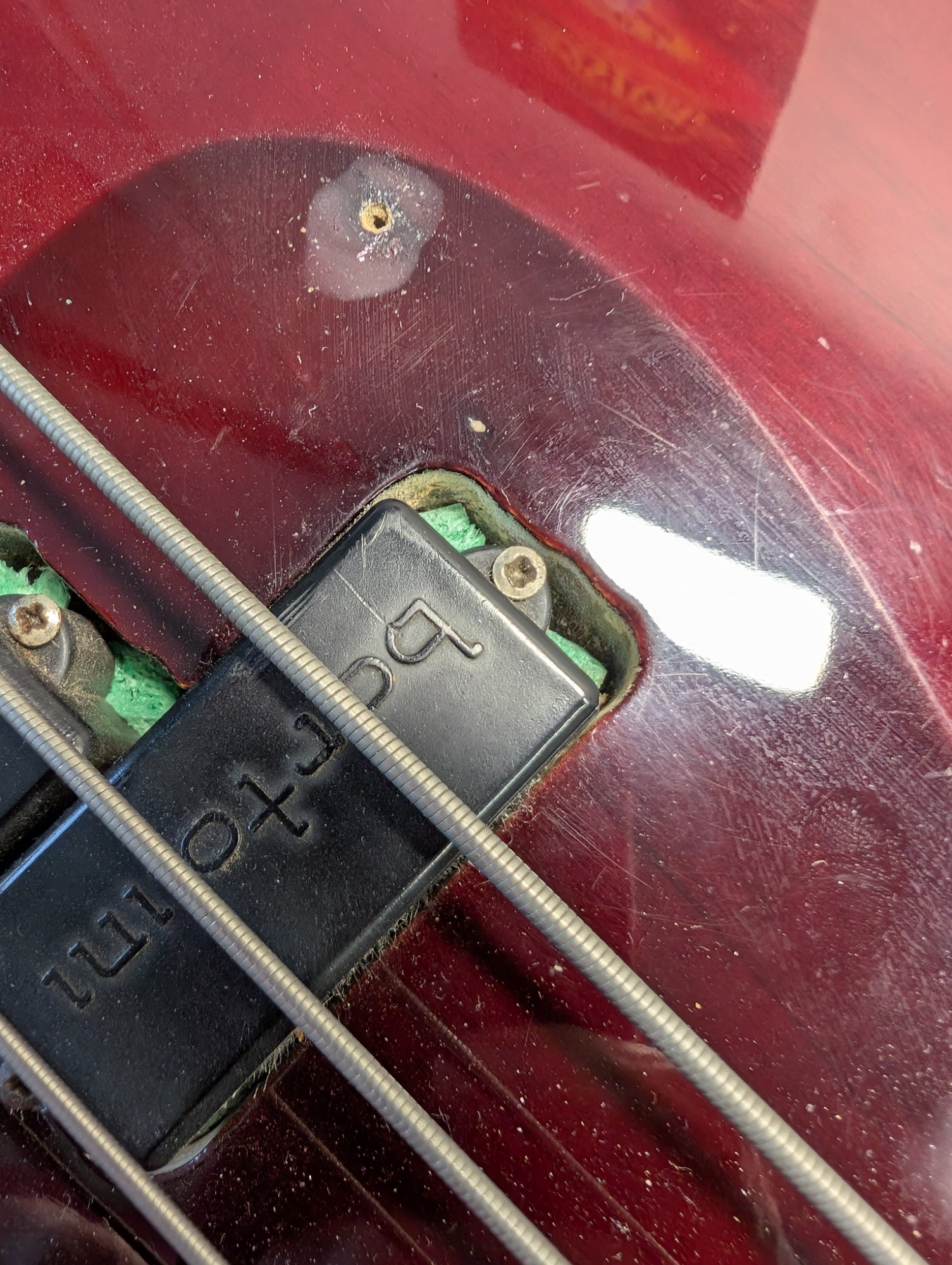 wineredbass.jpg