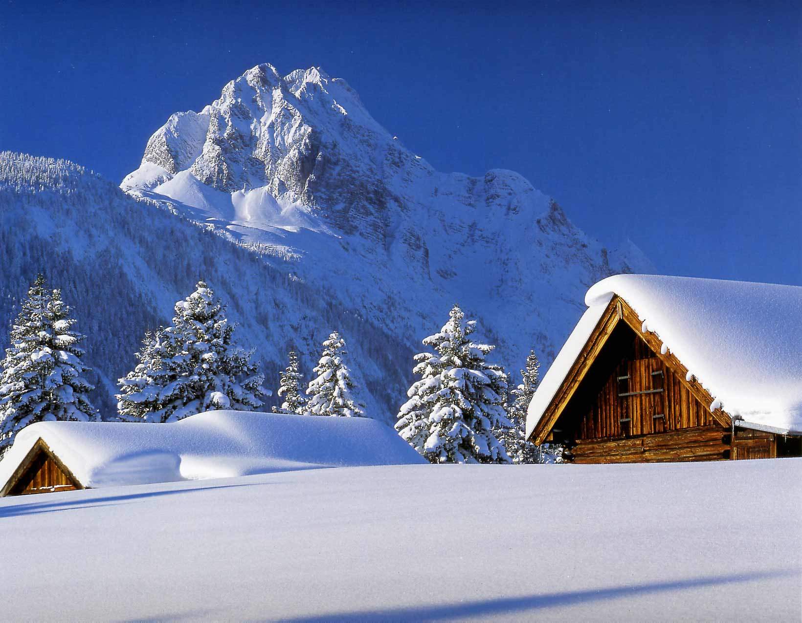 Winter 2 - Desktop.jpg