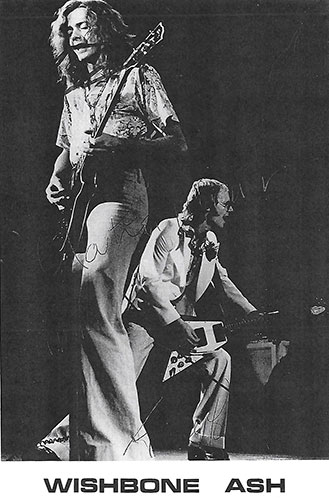 WishboneAsh.jpg