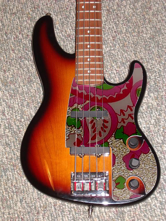 withpaisley.jpg