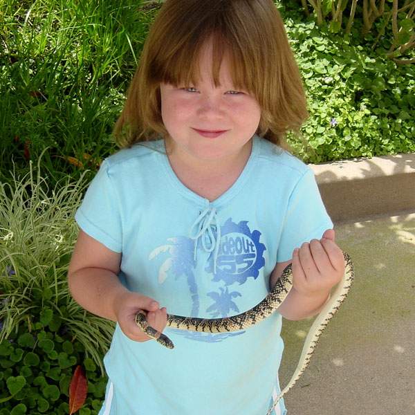 WLNSnake03.jpg
