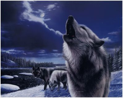 wolfbaying.jpg