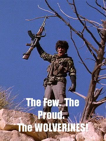 wolverines.jpg