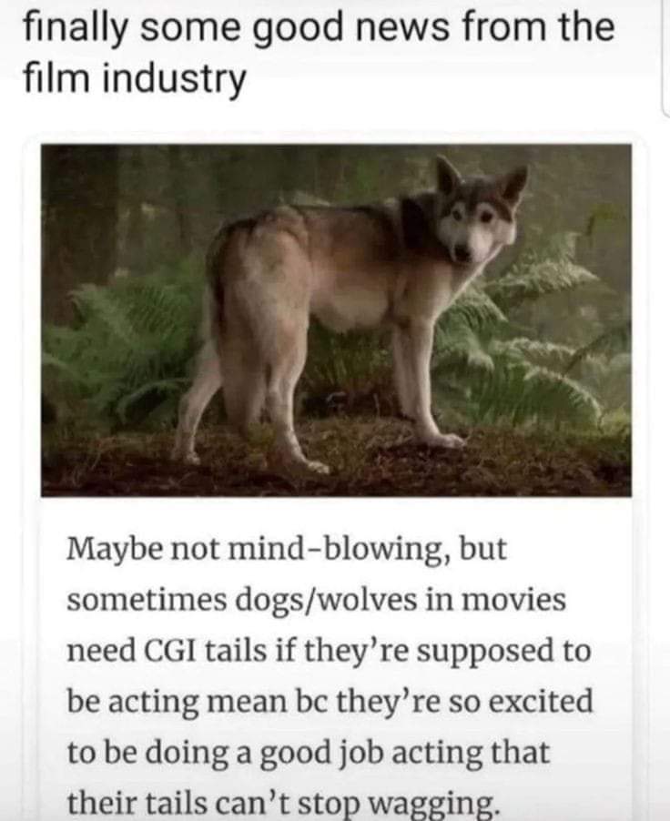 wolves dogs wagging.jpg