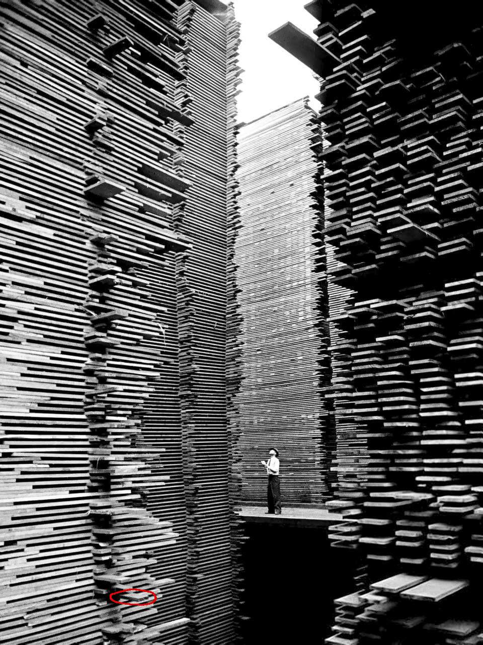 Woodstack 1969®-a.jpg
