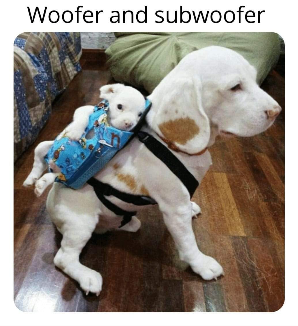 woofer.jpg