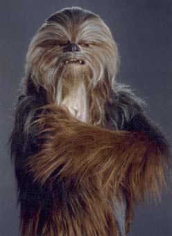 Wookie+01+copy.jpg