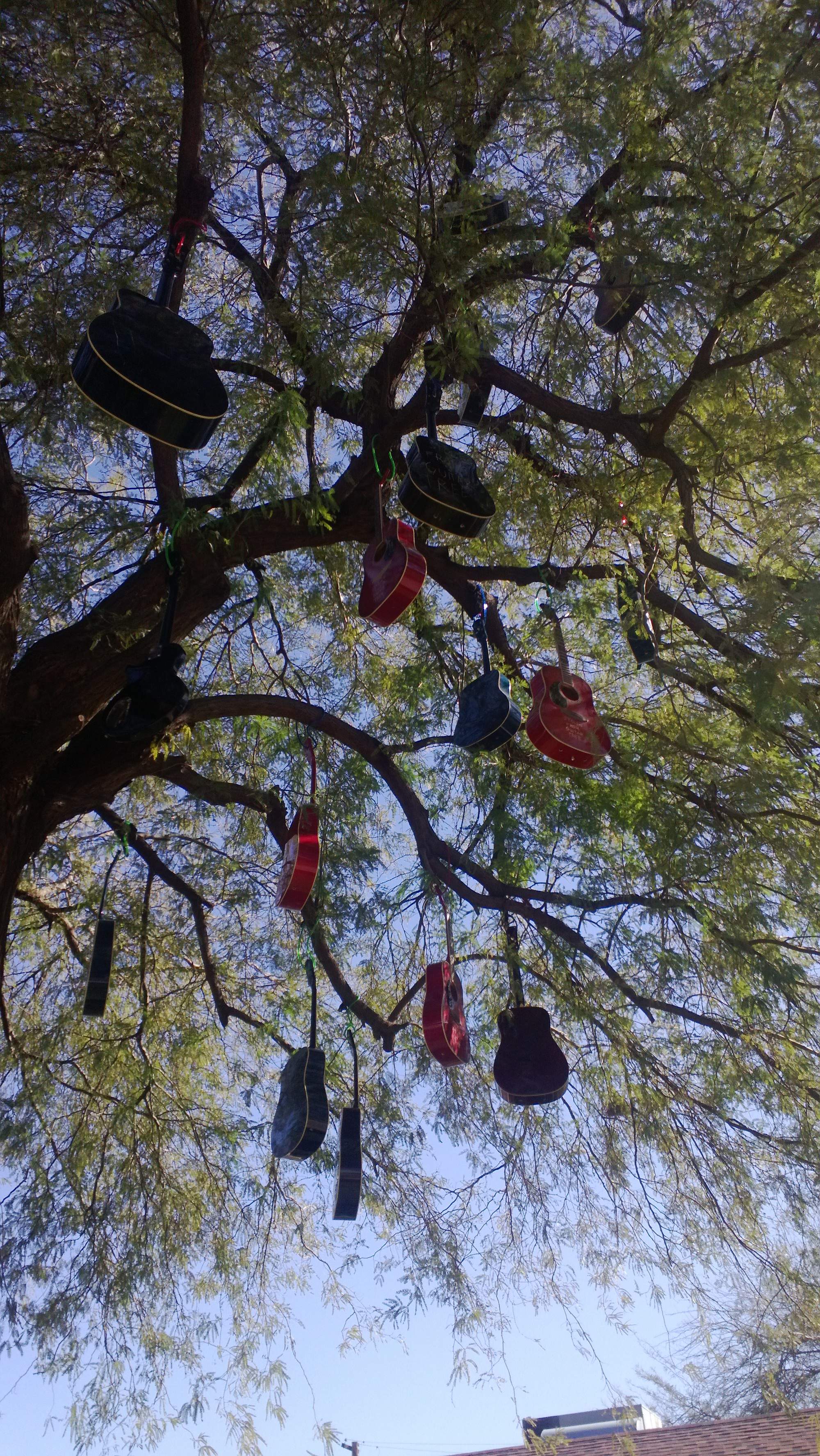 WP_20130216_005.jpg