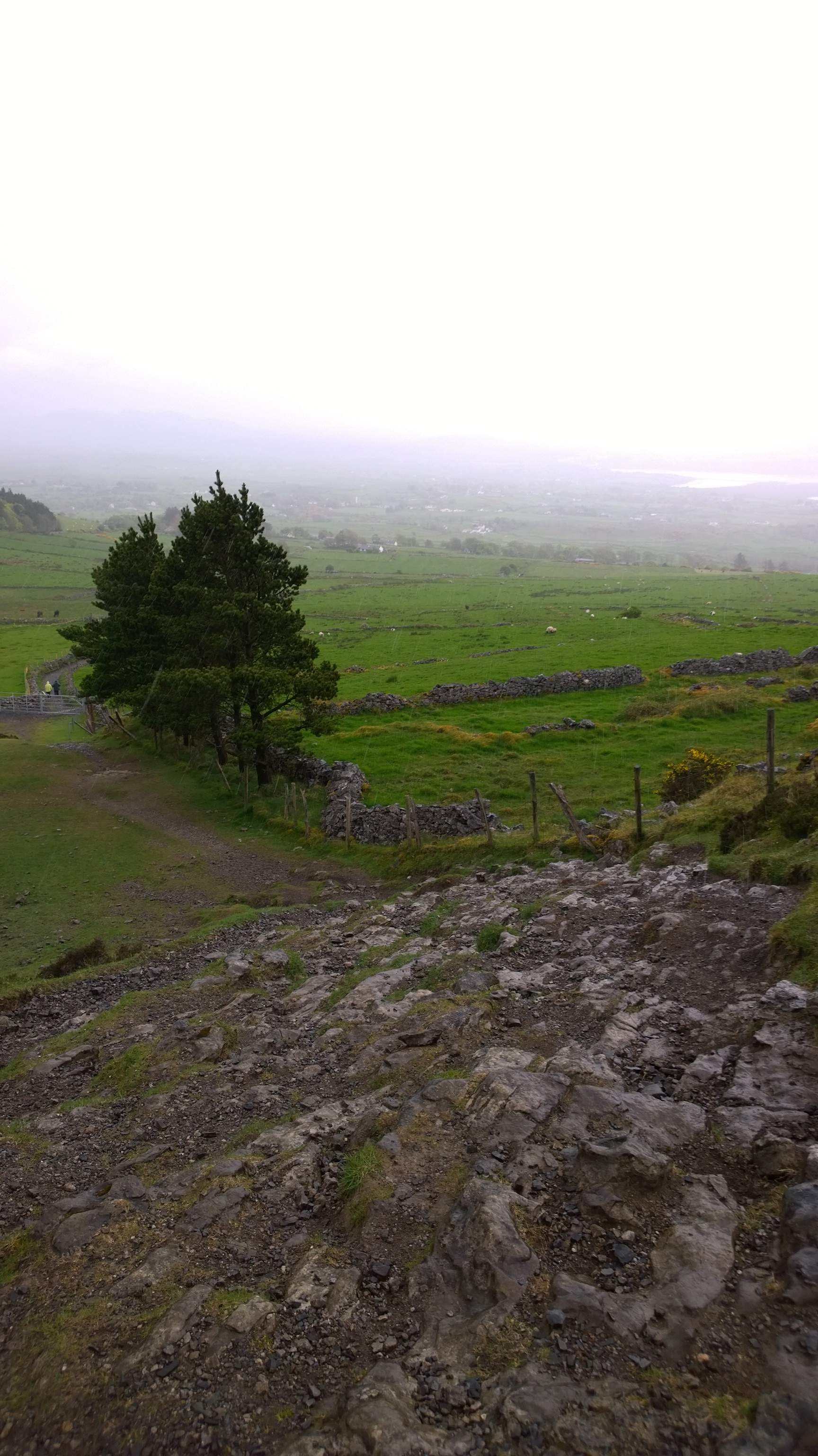WP_20140430_17_01_58_Pro.jpg