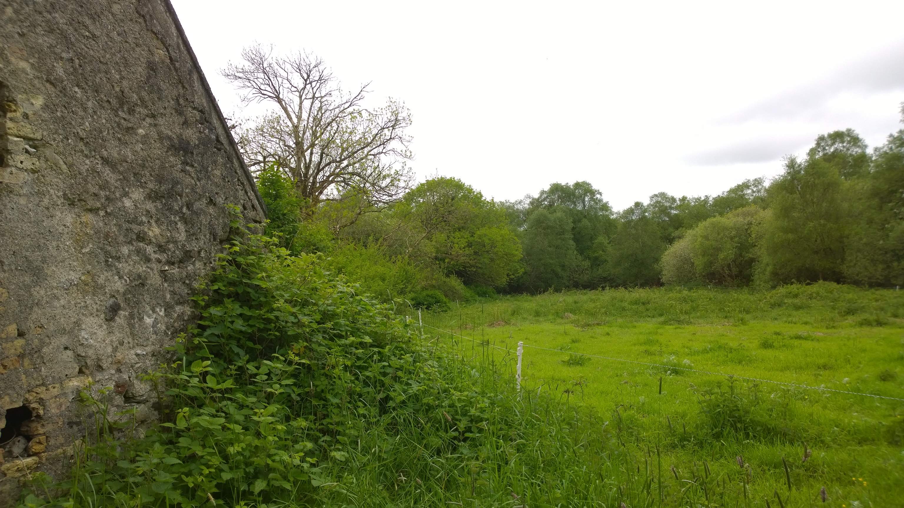 WP_20140522_10_52_24_Pro.jpg