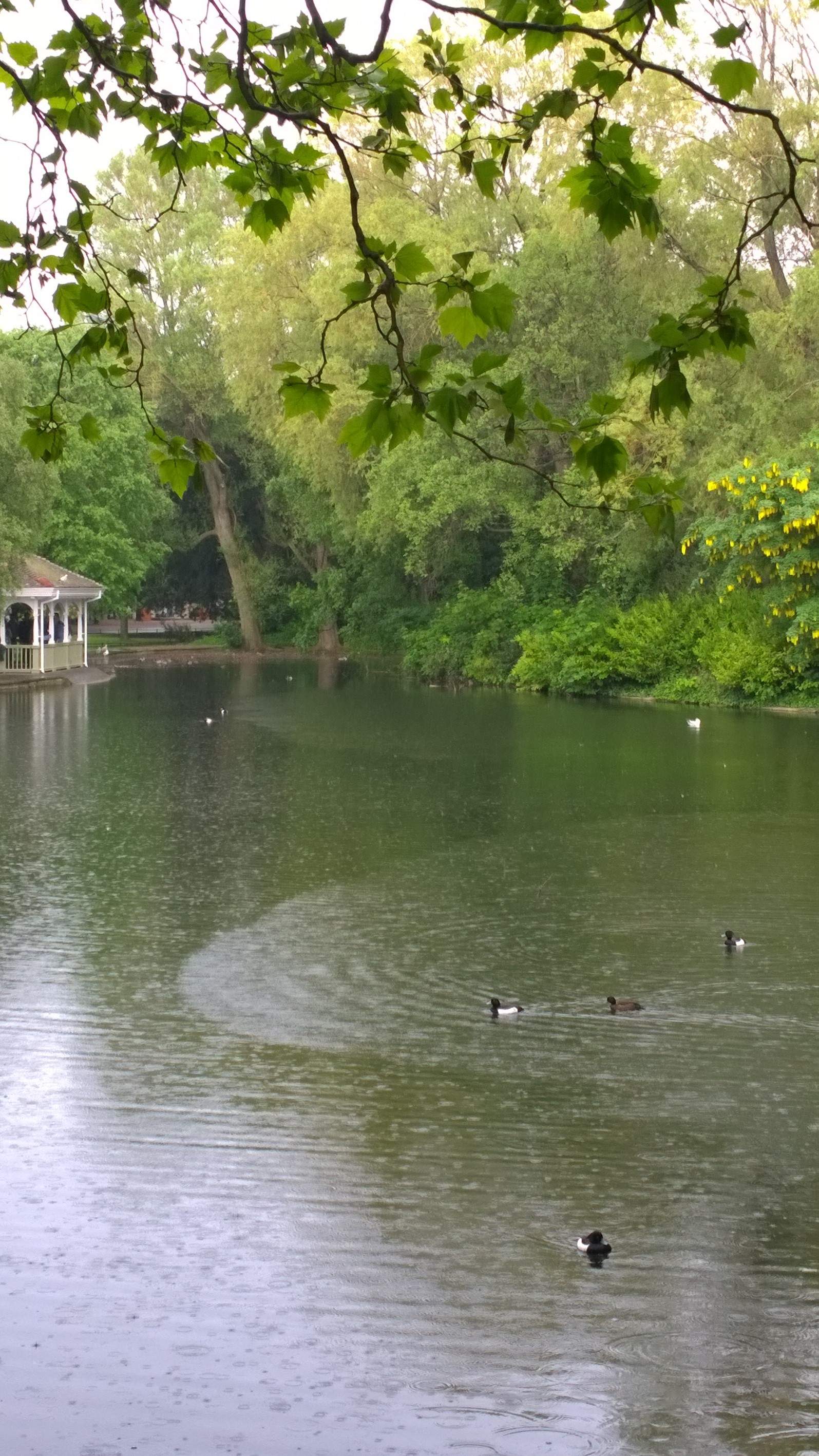 WP_20140522_17_03_19_Pro (2).jpg