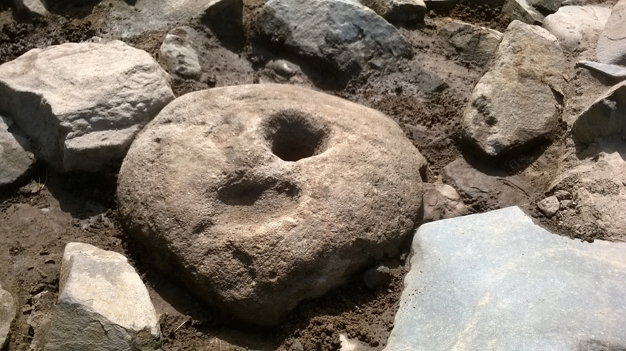 wp_20140617_018.jpg