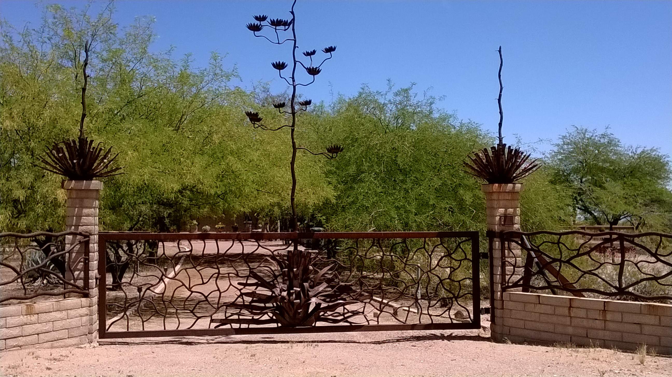 WP_20150501_001.jpg