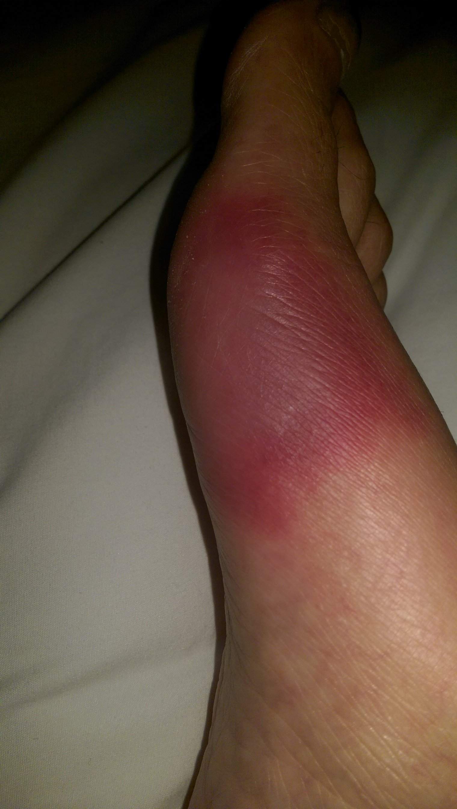 WP_20160224_001.jpg