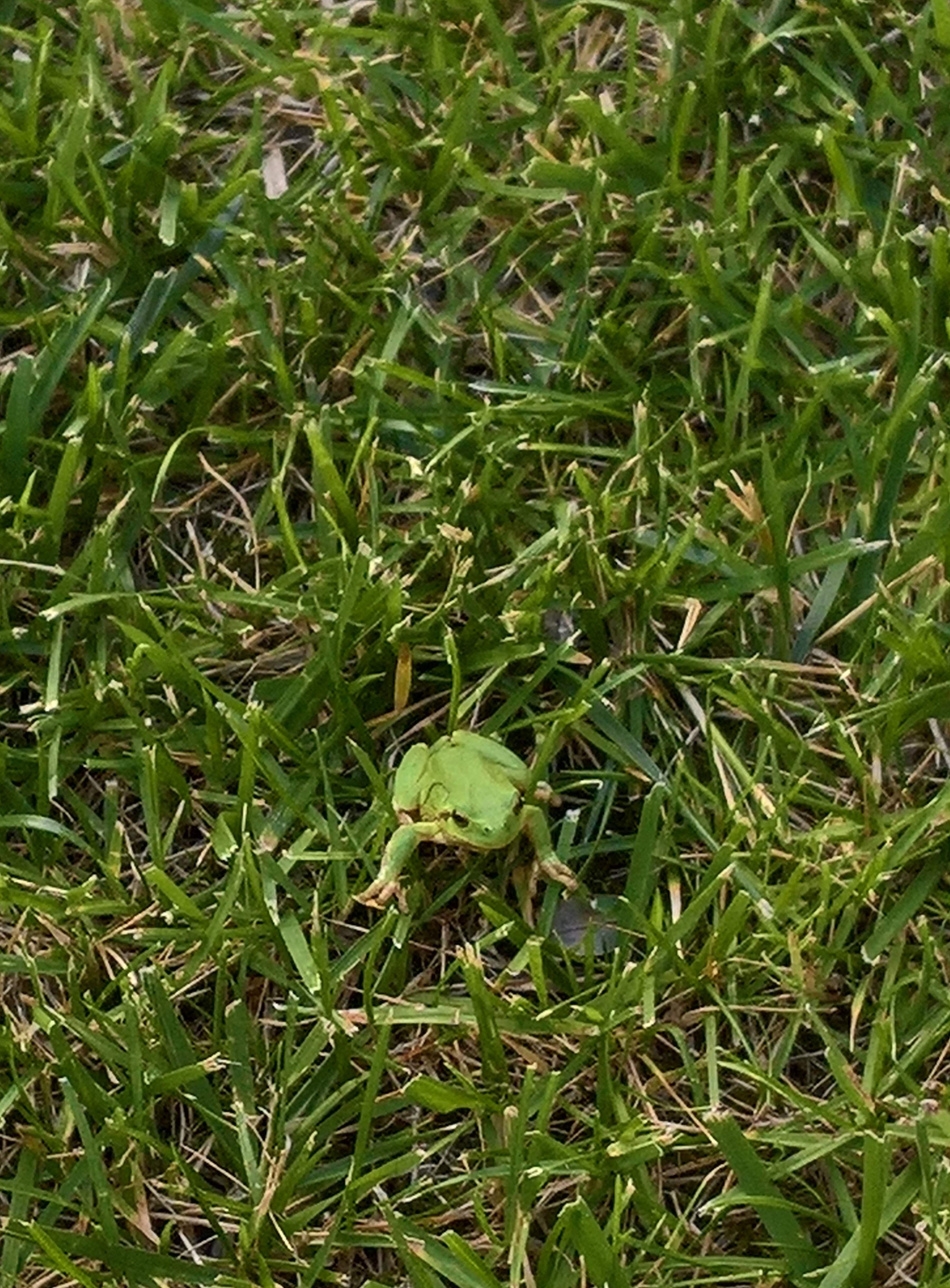 WP_20170508_18_29_53_Pro.jpg