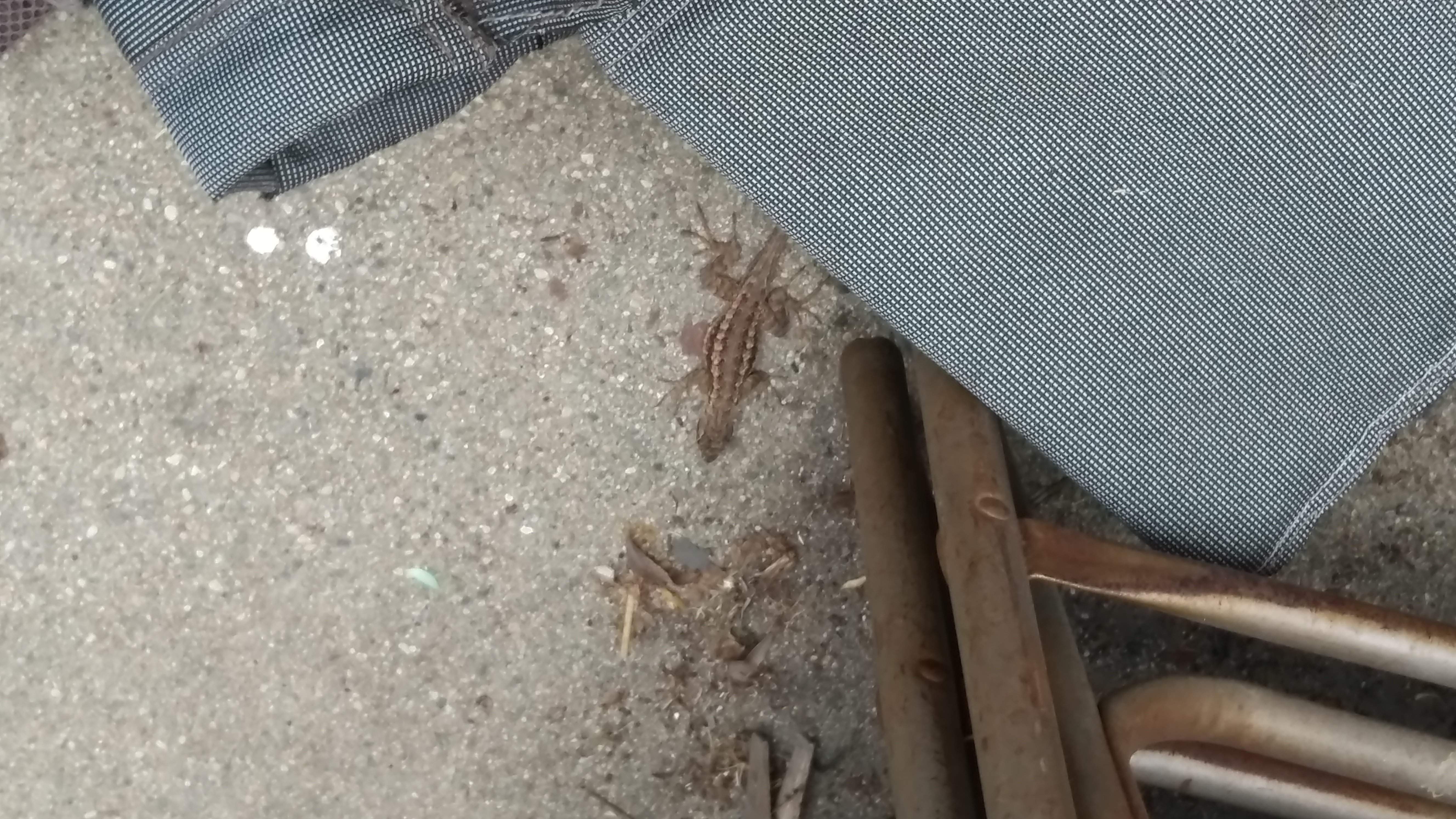 WP_20190620_12_47_36_Pro.jpg