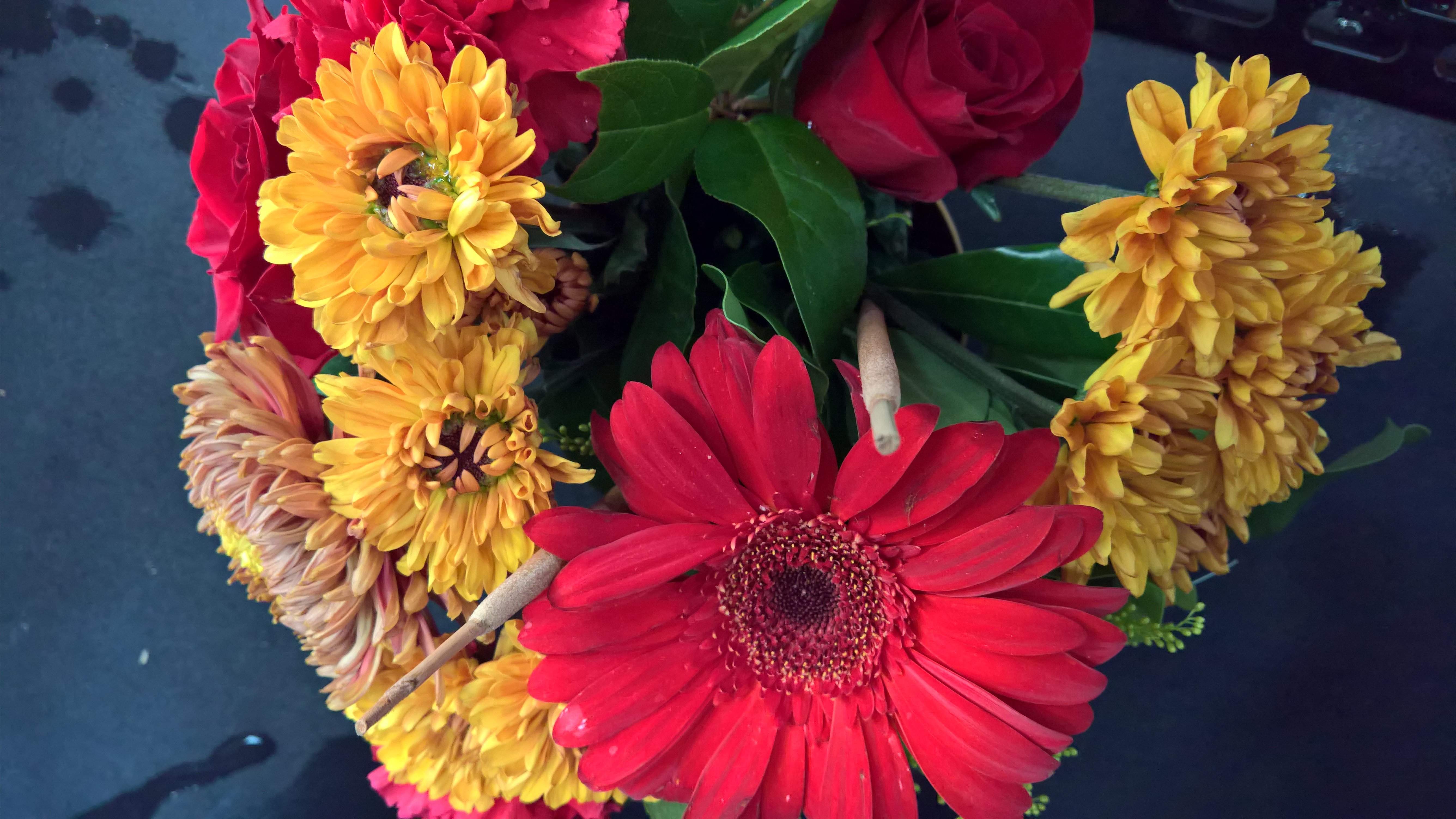 WP_20191009_12_28_31_Pro.jpg