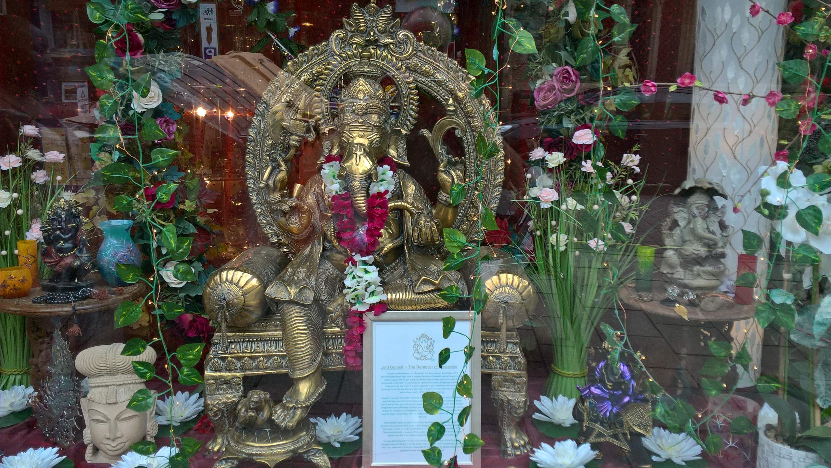 WP_20210819_13_04_00_Pro.jpg