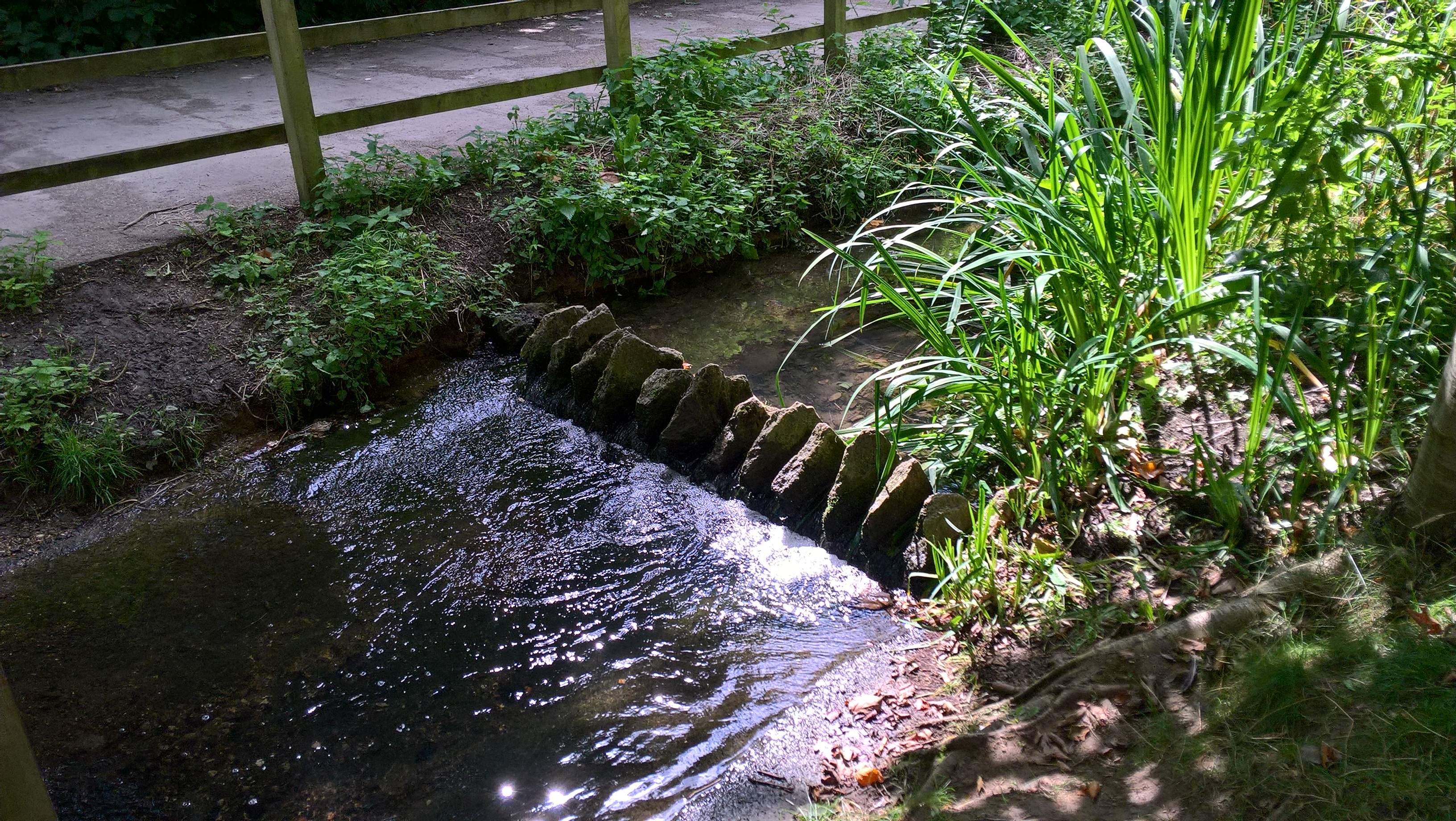 WP_20210824_13_05_42_Pro.jpg