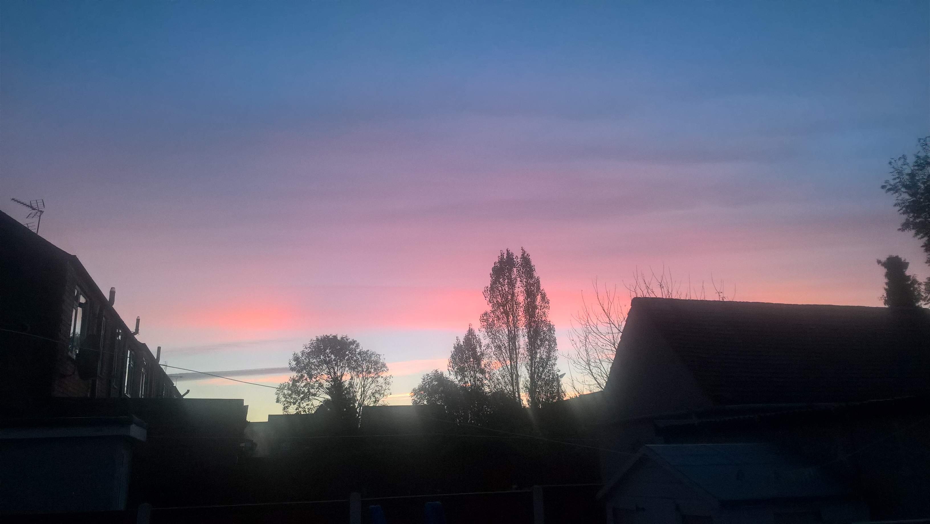 WP_20211105_06_54_49_Pro.jpg