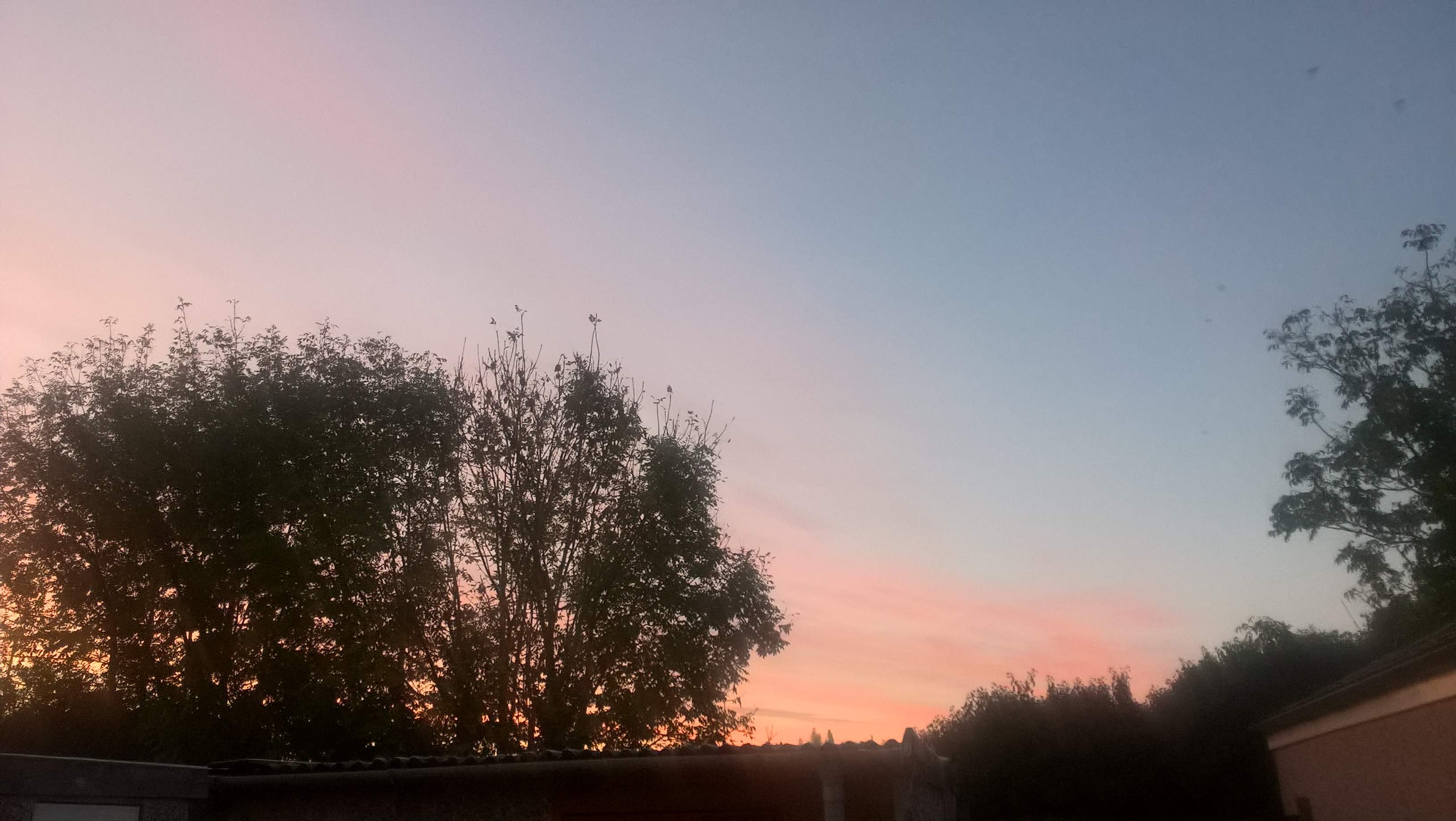 WP_20211105_06_55_09_Pro.jpg