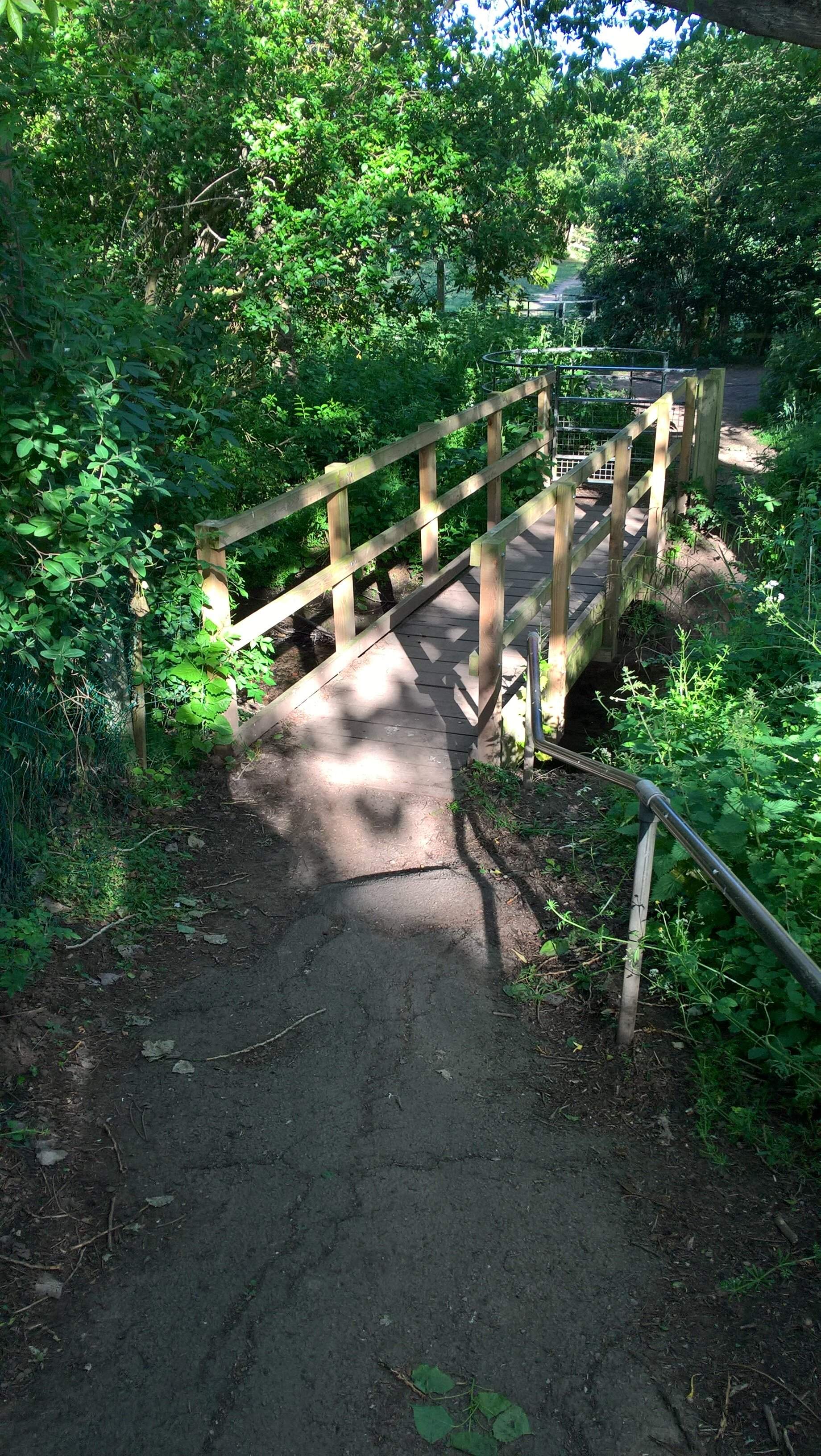 WP_20220528_07_57_42_Pro.jpg