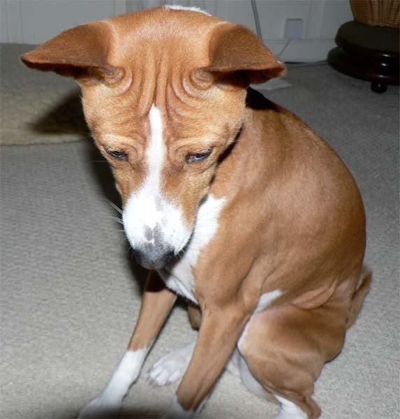 wrinkles.jpg