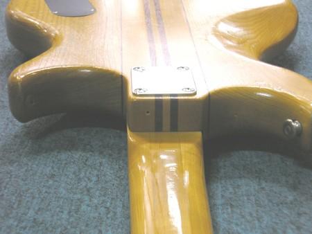 WT1B-1.jpg