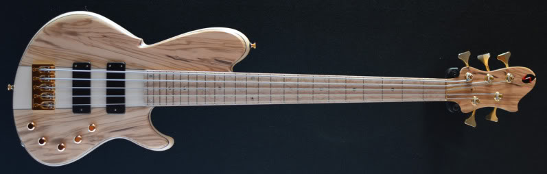WT5Front.jpg