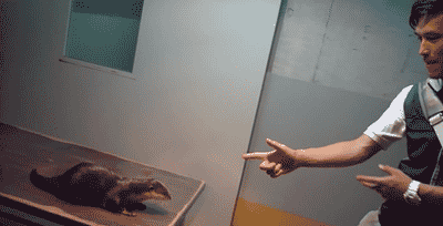 WwLDEj1.gif