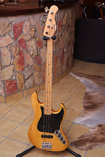 WY9E0206.jpg