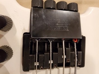 XL-2 with Rotosound on E-string.jpg