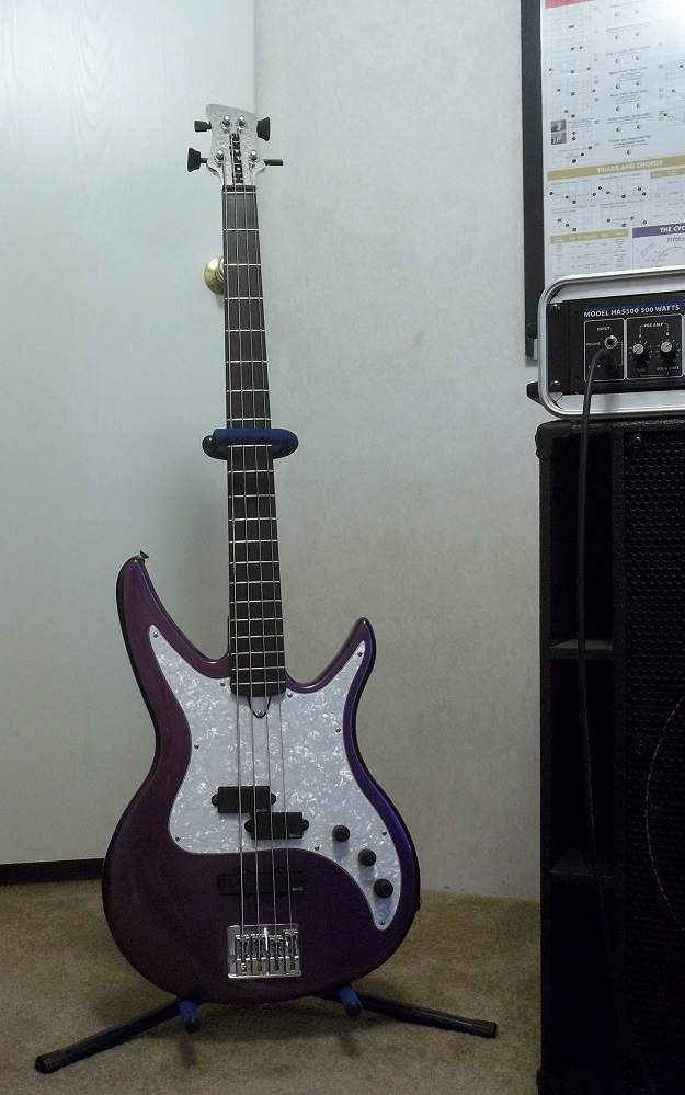 XL-4.JPG